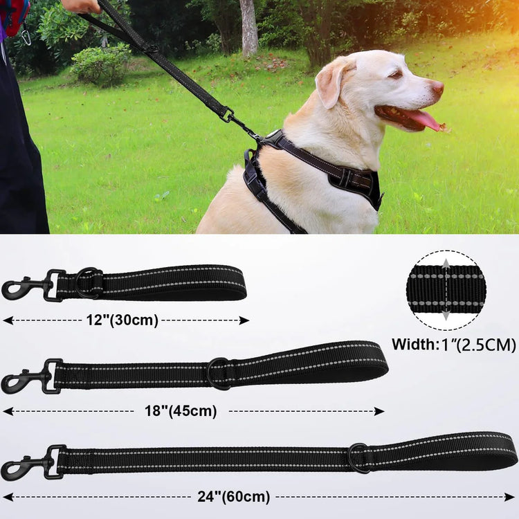 Taglory Short Dog Leash with Traffic Padded Handle | Heavy Duty Nylon Lead for Training & Control | Reflective Threads Pet Leash