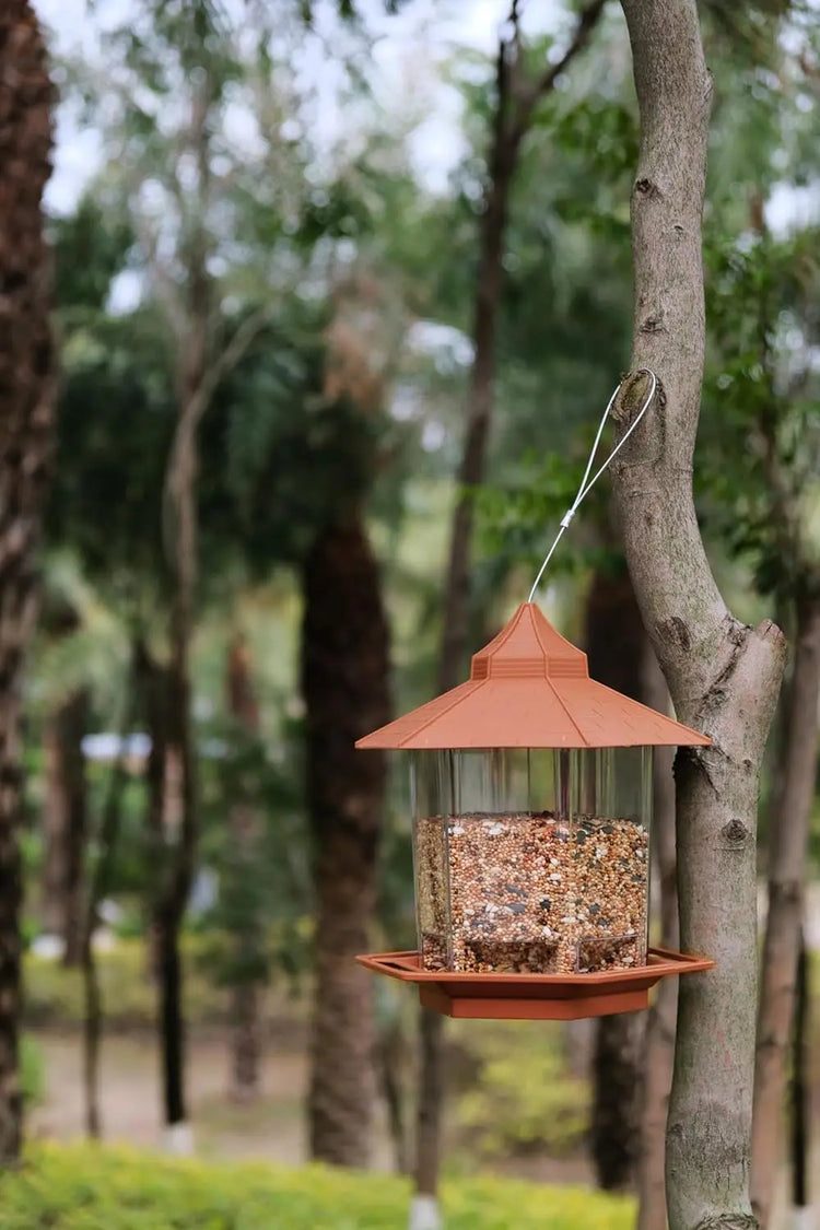 Bird Feeder | Automatic Food Feeding Tool for Birds | Hanging Gazebo Outdoor Nut Feeder | Multiple Hole Food Dispenser Container