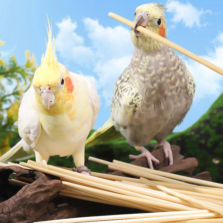 3/100g Ball Bird Toy | Natural Pet Parrot Bite Toys - Budgies | Cockatoo | Parakeet | Cockatiels | Lovebird Cage - Teething Toy | Nest Decor