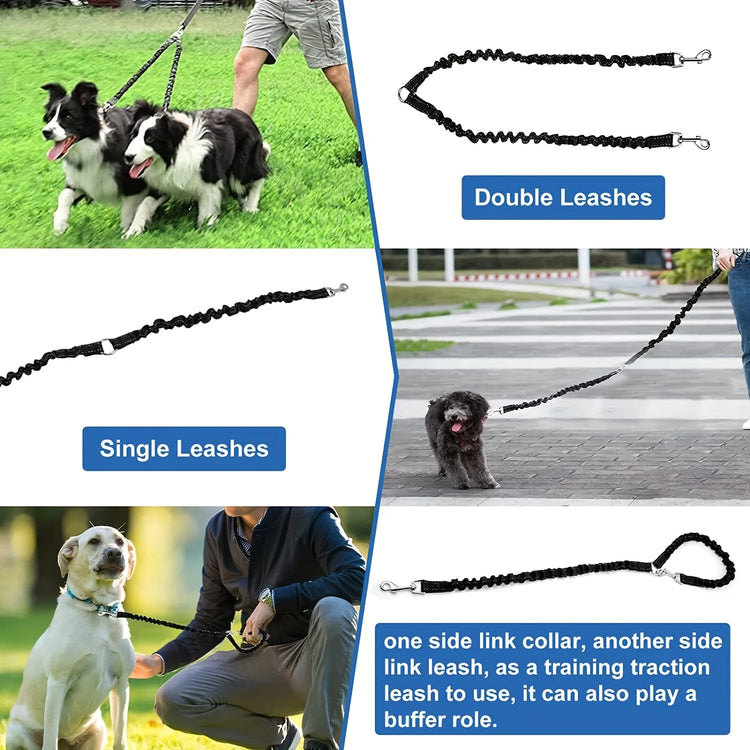 No-Tangle Double Dog Leash Coupler with Reflective Bungee – Shock Absorbing Night Safety Lead