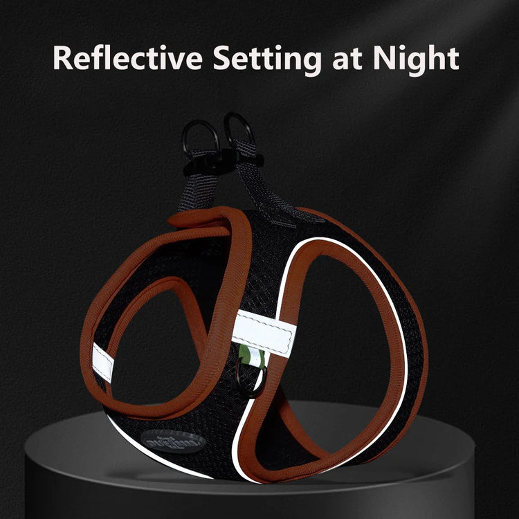 Pawstrip Soft & Reflective Dog Harness with Leash – Comfortable Vest Harness for Small Dogs