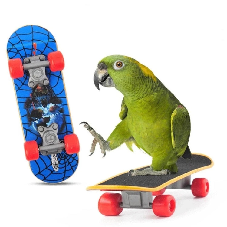 Bird Toys | 4 Types Parrot Toy Set | Include Basketball Toy / Skateboard / Stacking Toy / Metal Trolley Toy - Ball Bouncer Toy 29EF