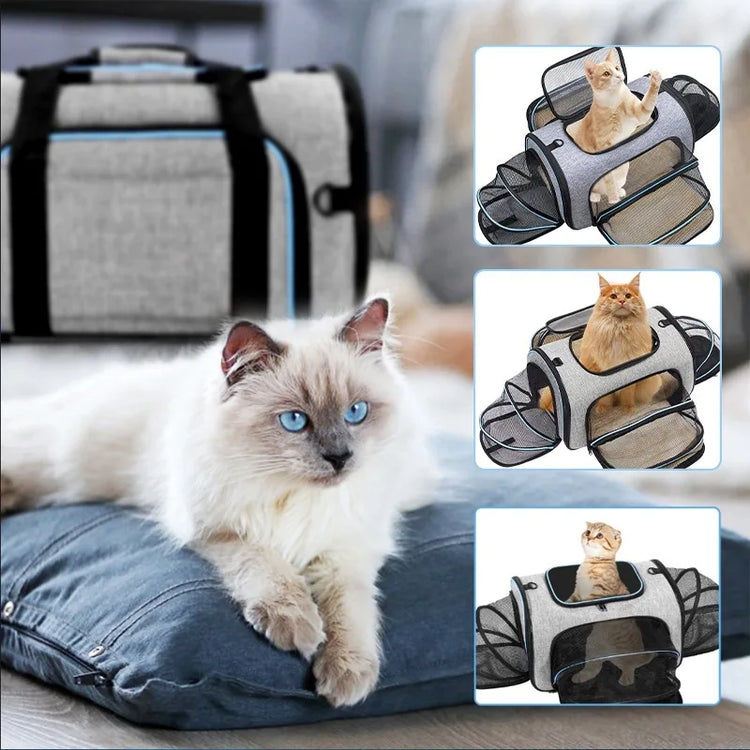 Pet Carrier Backpack Portable Foldable Cat Bag | Medium Pet Travel Carrier