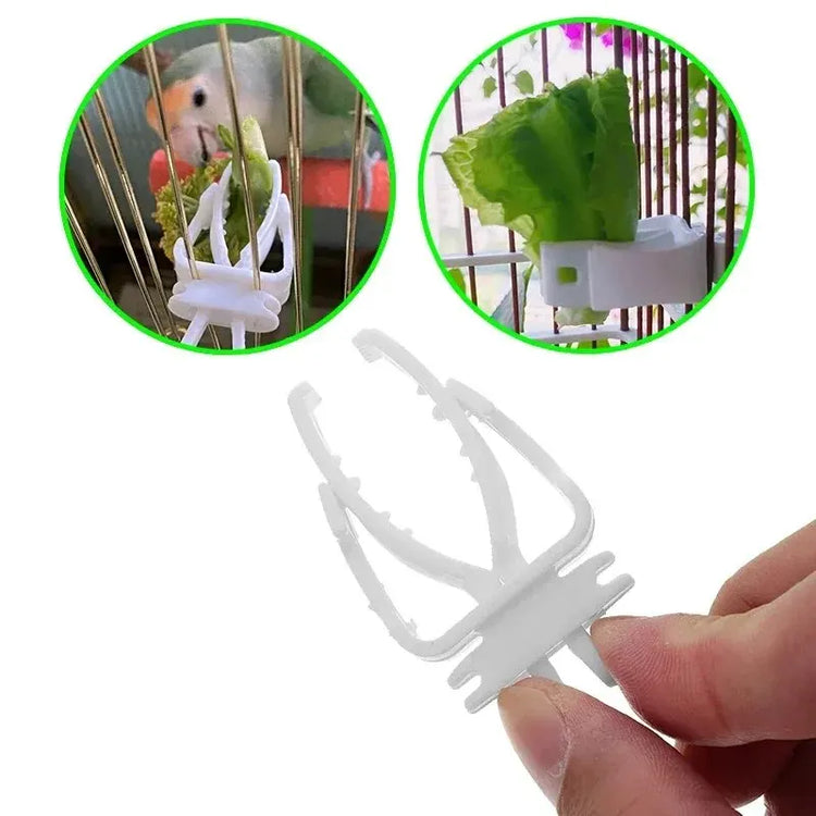 Cute Small Pet Bird Food Holder | Parrot Fruit & Veggie Clip | Cuttlefish Bone Feeder | Cage Clamp Tool | Accessories for Canaries & Cockatiels