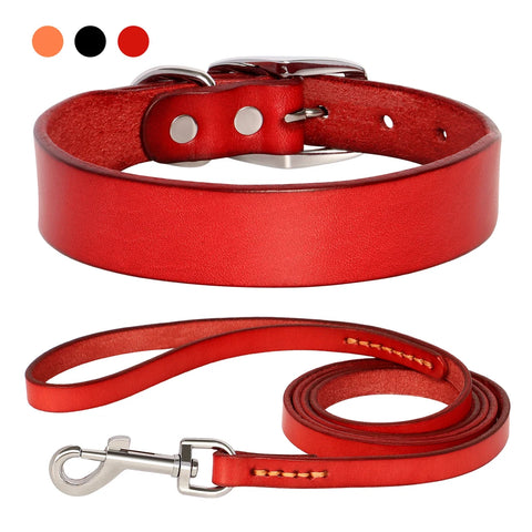 Genuine leather dog collar and leash set – durable and comfortable for small to medium dogs
