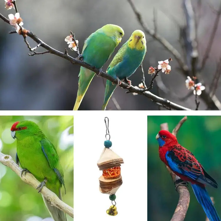 Bird Chewing Toy | Parrot Beak Bite Supplies with Bells | Bird Cage Accessories | Cage Toys for Cockatiels- Conures/Love/Finches