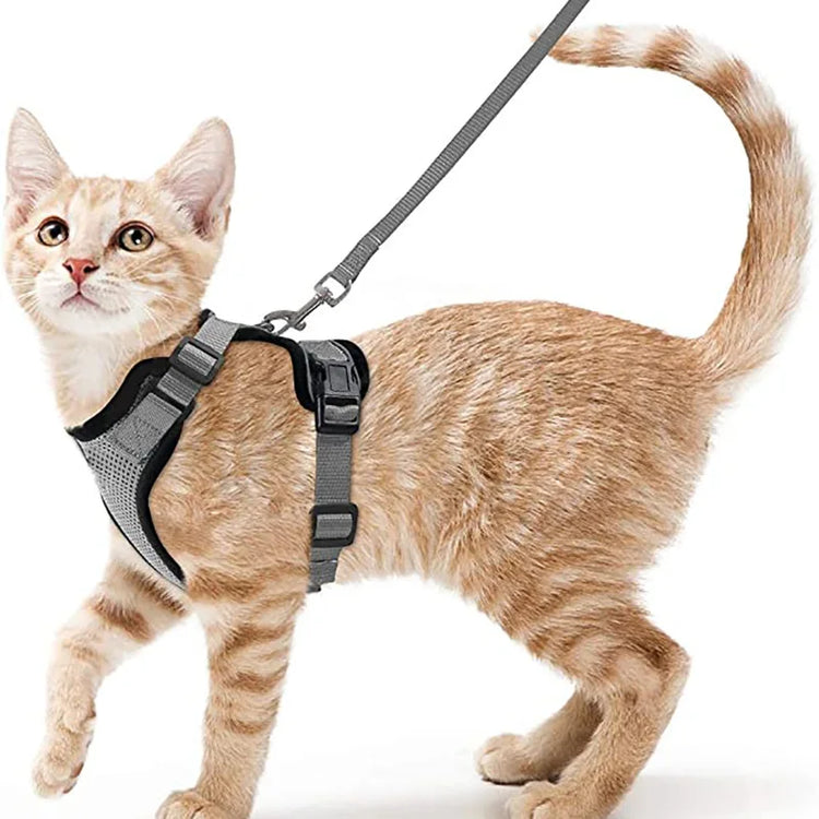 Cat Harness and Leash for Walking | Escape Proof | Soft Adjustable Vest Harnesses for Cats | EasyControl