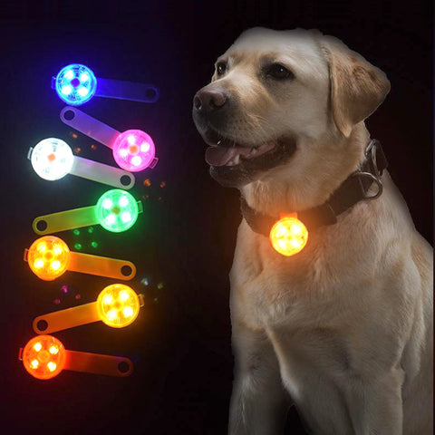 Pet LED Light Pendant – USB Rechargeable, Waterproof Safety Glowing Pendant for Dogs and Cats