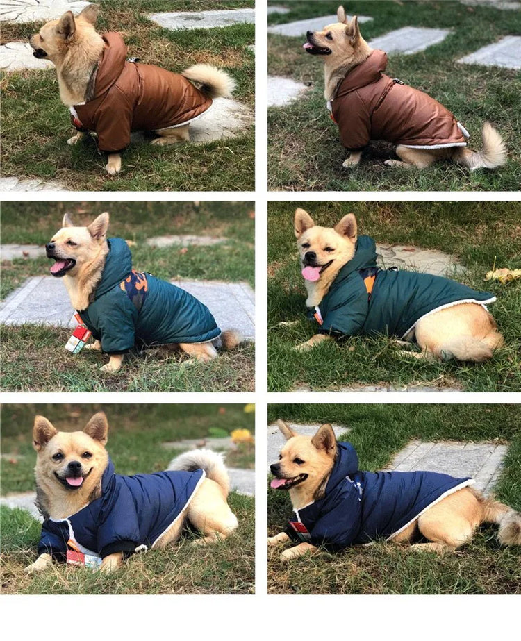 Pet Clothes - Winter/Warm Waterproof Jacket For Small Dogs | Puppy Costume | French Bulldog Outfit Coat | Chihuahua Clothing