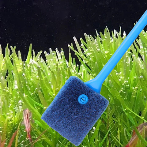 Double-Sided Aquarium Cleaning Brush – Algae Scraper Sponge for Fish Tank