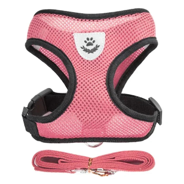 Cat Harness Vest | Walking Lead Leash for Puppy Dogs | Polyester Adjustable Mesh Dog Harness | Small Medium Pet Accessories Collar