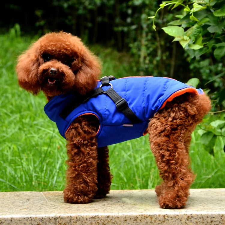 Dog Coat with Harness | Winter Fleece Zipper Jacket | Small Dog Clothes | Winter Cat Apparel |Indoor & Outdoor Pet Gifts