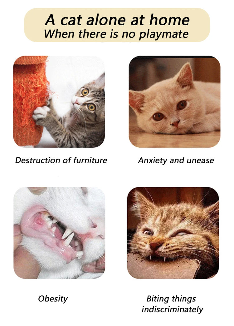 Cat Teaser Toy | Interactive Bell & Feather Wand | Suction Cup Pole | Long Flexible Cat Wand | Exciting Cat Play Toy | Cat Feather Toy | Pet Supplies