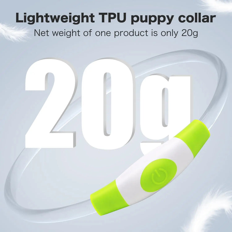 LED Luminous Dog Collar Light Rechargeable Flashing Safety Collar for Nighttime Walking