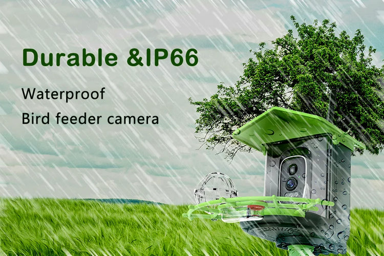 Bird Feeder Camera | 4MP 2K HD Bird Video Capture | Solar Powered WiFi Camera Feeder | Smart Birdwatching Device with Alerts | Outdoor Bird Observation Tool