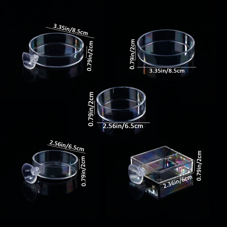 Acrylic Transparent Shrimp Feeder – Lightweight Durable Fish & Shrimp Feeding Container