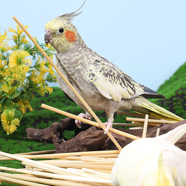 3/100g Ball Bird Toy | Natural Pet Parrot Bite Toys - Budgies | Cockatoo | Parakeet | Cockatiels | Lovebird Cage - Teething Toy | Nest Decor