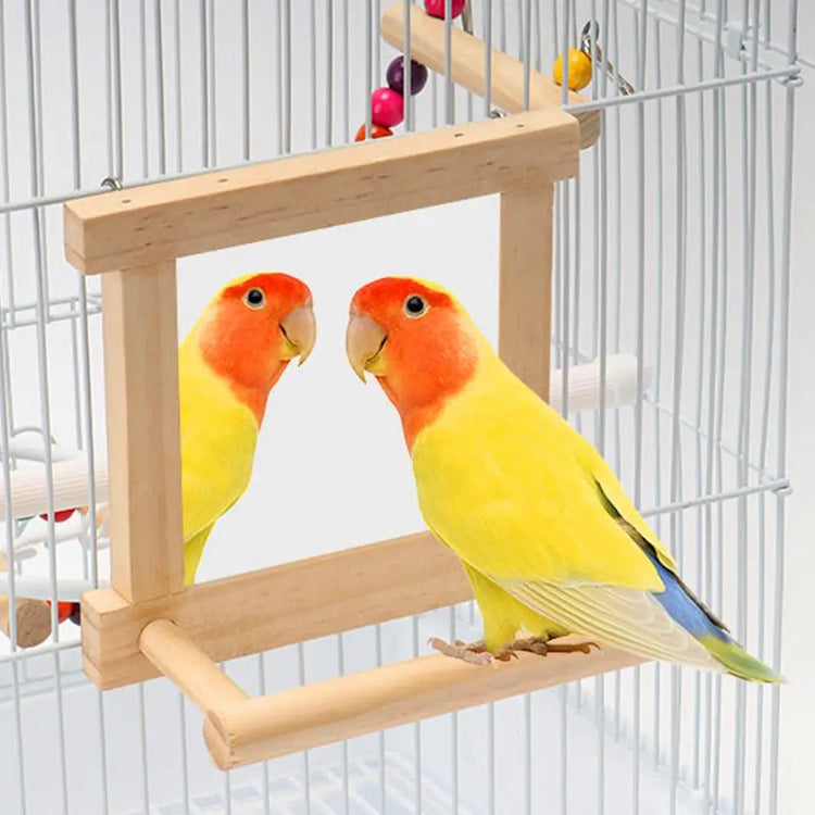 Parrot Perches For Cage | Bird Standing Branch Interactive Parrot Standing Sticks | Wood Parakeet Climbing Branches For Budgies