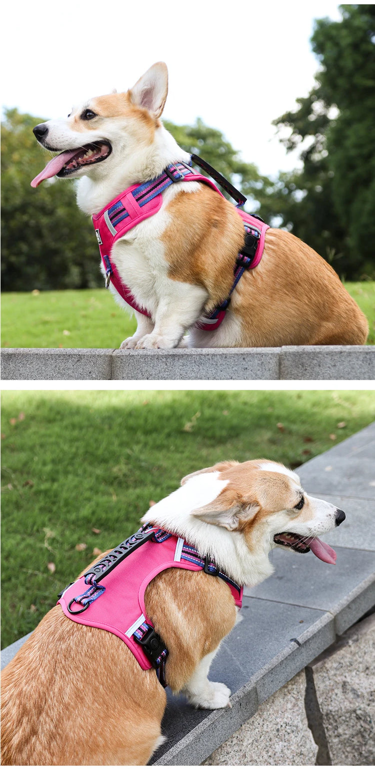Durable Nylon Dog Harness with Handle – Travel-Friendly, Lightweight & Explosion-Proof Vest for All Dog Sizes