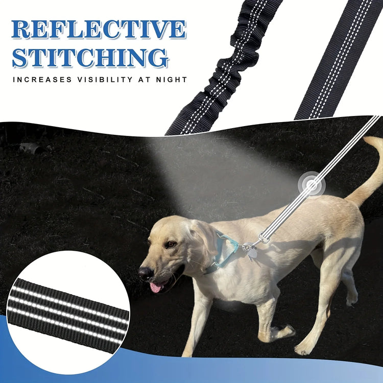 No-Tangle Double Dog Leash Coupler with Reflective Bungee – Shock Absorbing Night Safety Lead