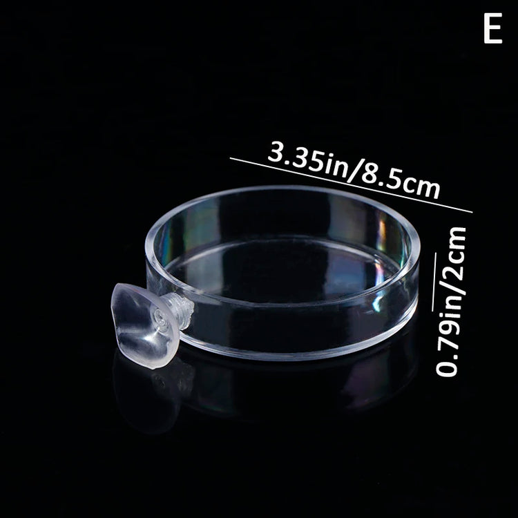 Acrylic Transparent Shrimp Feeder – Lightweight Durable Fish & Shrimp Feeding Container