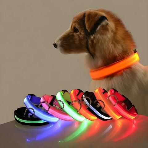 Nylon LED Dog Collar | Night Safety Flashing Glow In The Dark | Dog Leash | LUminous Fluorescent Dog Accessories Collar