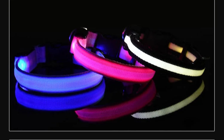 Nylon LED Dog Collar | Night Safety Flashing Glow In The Dark | Dog Leash | LUminous Fluorescent Dog Accessories Collar