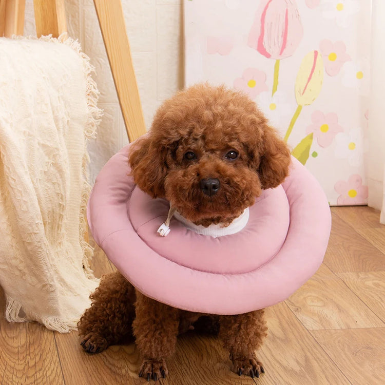 Adjustable Soft Donut Elizabethan Collar – Protective Cone for Dogs