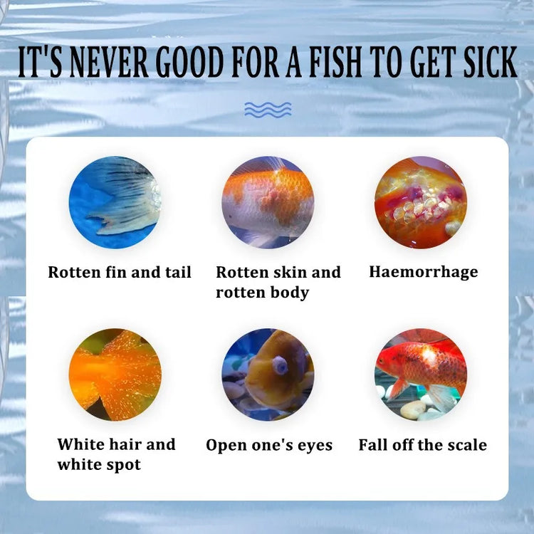 Health Medication for Fish – 100ml Fin Rot Treatment & Aquarium Water Purifier for Freshwater