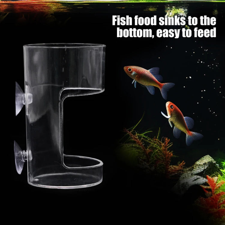 Aquarium Feeding Ring Floating Food Tray with Suction Cup – Transparent Acrylic Fish Feeder