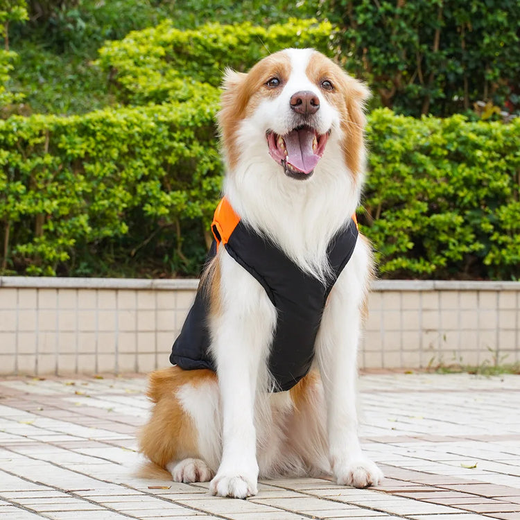 Pet Puppy Clothes Cat Clothing Autumn/Winter Warm Cotton Jacket Outdoor Waterproof Tank Top Small/Medium/Large Dog Costume