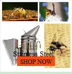 Pet Parakeet Budgie Hanging Play Toys | Bird Cage Wood Branch Stand Perches | Parrot Wooden Holder Perches