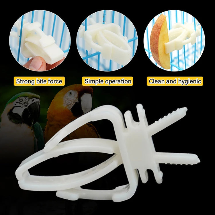 2Pcs Cute Small Pet Bird Food Holder | Parrot Fruits Vegetables Clip | Cuttlefish Bone Feeder Device Clamp | Bird Cage Accessories