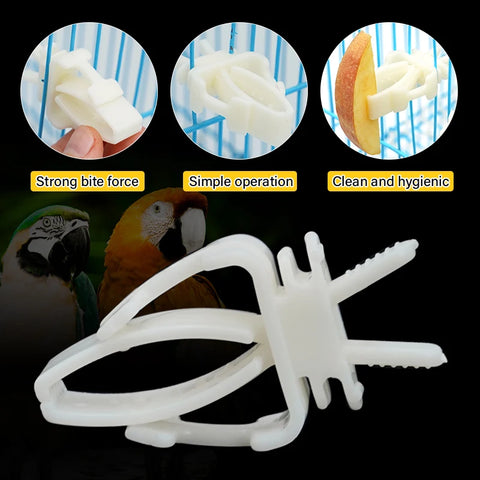 2Pcs Cute Small Pet Bird Food Holder | Parrot Fruits Vegetables Clip | Cuttlefish Bone Feeder Device Clamp | Bird Cage Accessories
