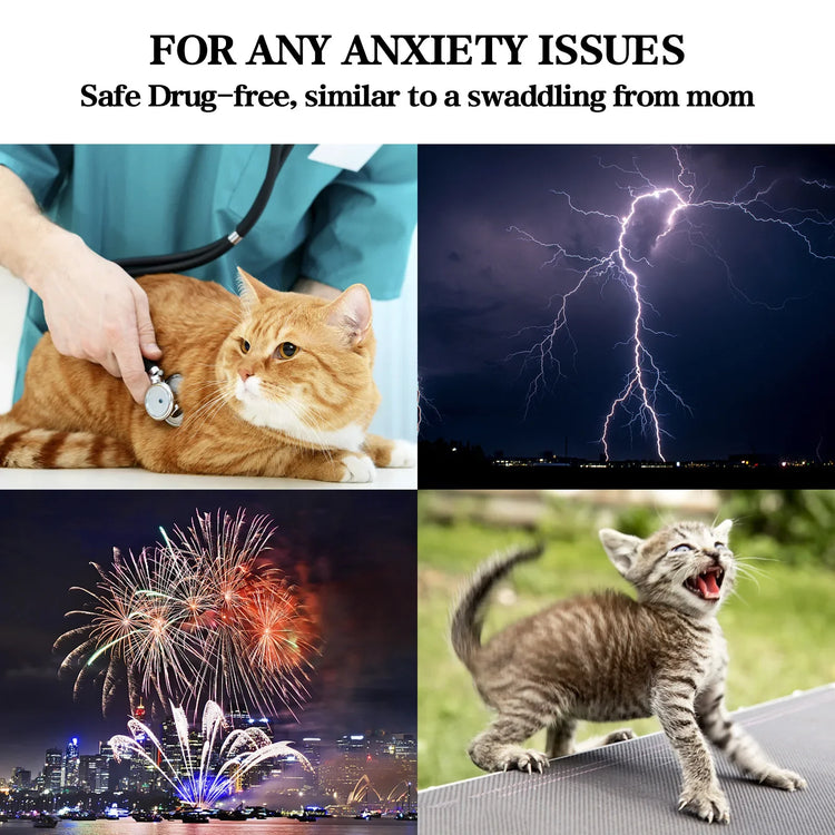 Cats Anxiety Jacket | Thunder Coat for Stress Relief | Emotional Comfort & Recovery Vest for Pets