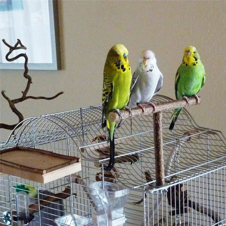 Pet Parakeet Budgie Hanging Play Toys | Bird Cage Wood Branch Stand Perches | Parrot Wooden Holder Perches