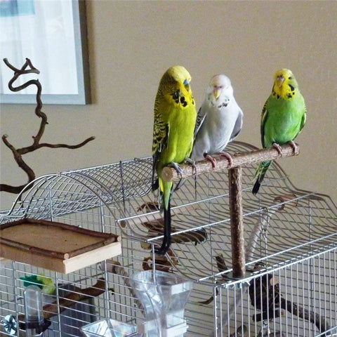 Pet Parakeet Budgie Hanging Play Toys | Bird Cage Wood Branch Stand Perches | Parrot Wooden Holder Perches