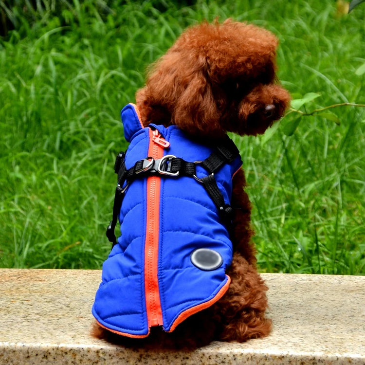 Dog Coat with Harness | Winter Fleece Zipper Jacket | Small Dog Clothes | Winter Cat Apparel |Indoor & Outdoor Pet Gifts
