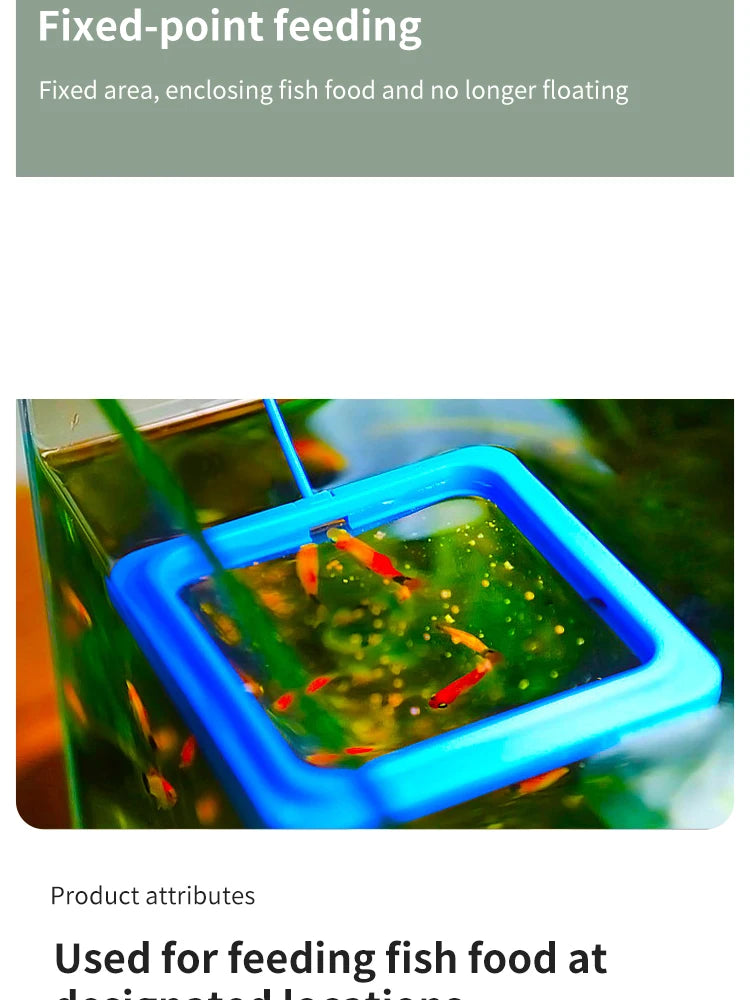 Floating Fish Food Feeder Ring with Suction Cup – Square & Circle Aquarium Station