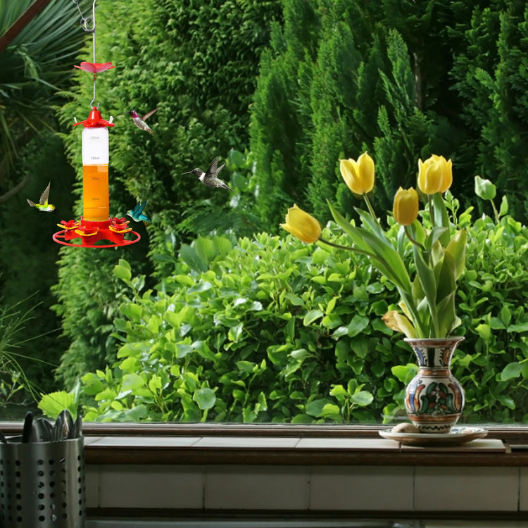 Hummingbird Feeder | Hanging Bird Water Drinker | Leakproof Feeder | Outdoor Garden Decoration