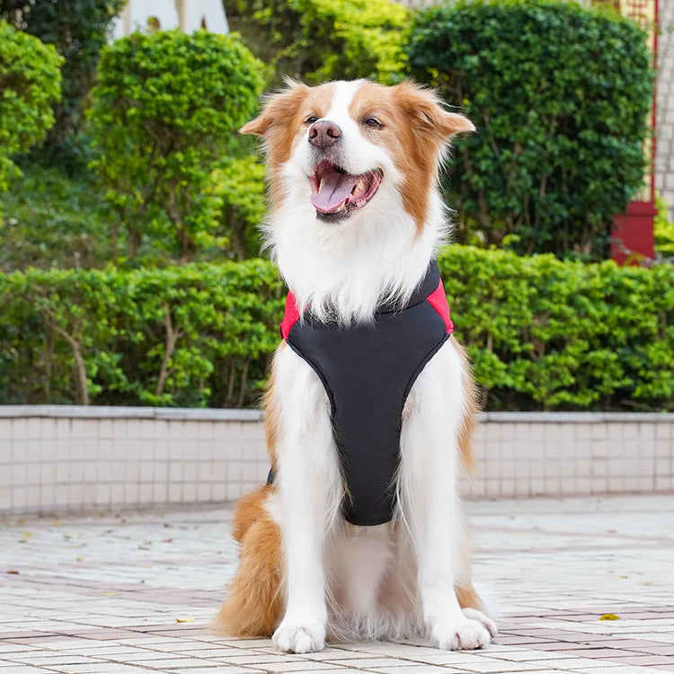 Pet Puppy Clothes Cat Clothing Autumn/Winter Warm Cotton Jacket Outdoor Waterproof Tank Top Small/Medium/Large Dog Costume