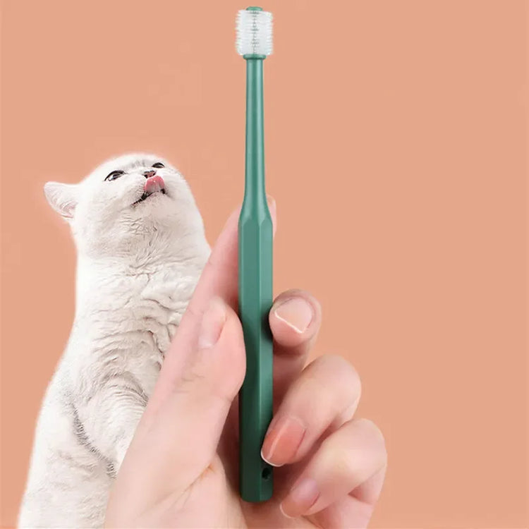 Cat Toothbrush & Toothpaste Set | Soft Brush for Teeth Cleaning | Pet Oral Care for Cats & Small Pets