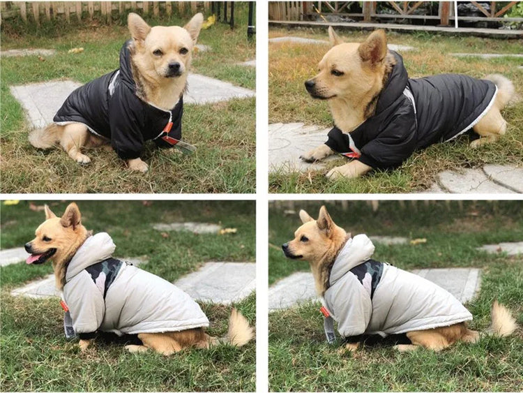 Pet Clothes - Winter/Warm Waterproof Jacket For Small Dogs | Puppy Costume | French Bulldog Outfit Coat | Chihuahua Clothing