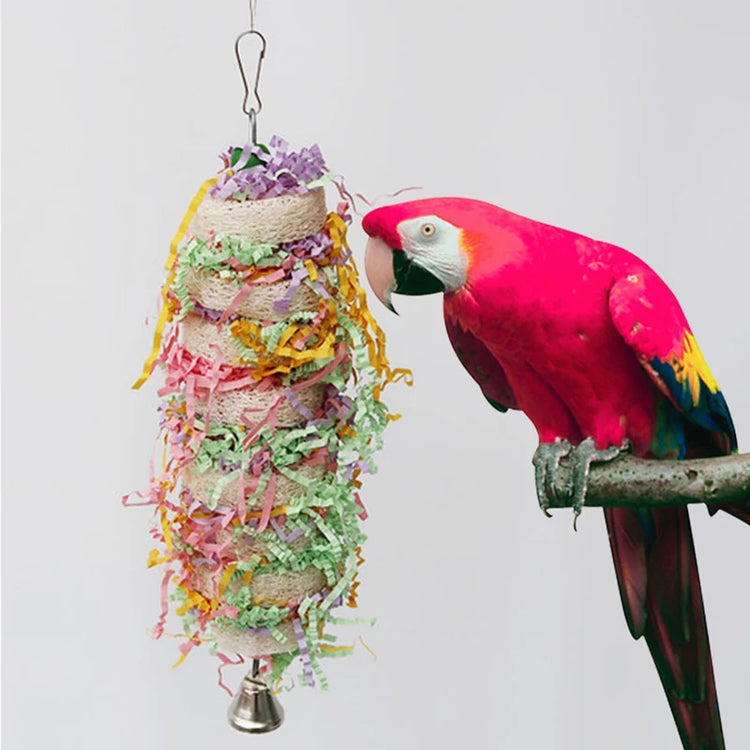 Funny Bird Toys | Parrot Swing with Bell | Natural Loofah Hanging Toy | Climb & Chew Toy for Cockatiels & Parakeets | Pet Cage Accessory
