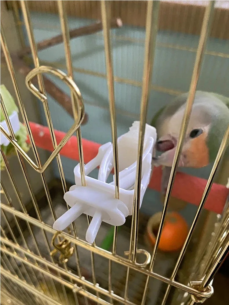 Cute Small Pet Bird Food Holder | Parrot Fruit & Veggie Clip | Cuttlefish Bone Feeder | Cage Clamp Tool | Accessories for Canaries & Cockatiels