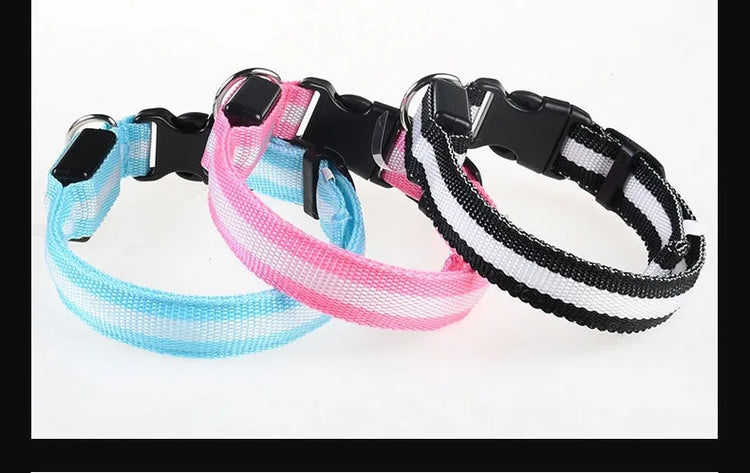 Nylon LED Dog Collar | Night Safety Flashing Glow In The Dark | Dog Leash | LUminous Fluorescent Dog Accessories Collar