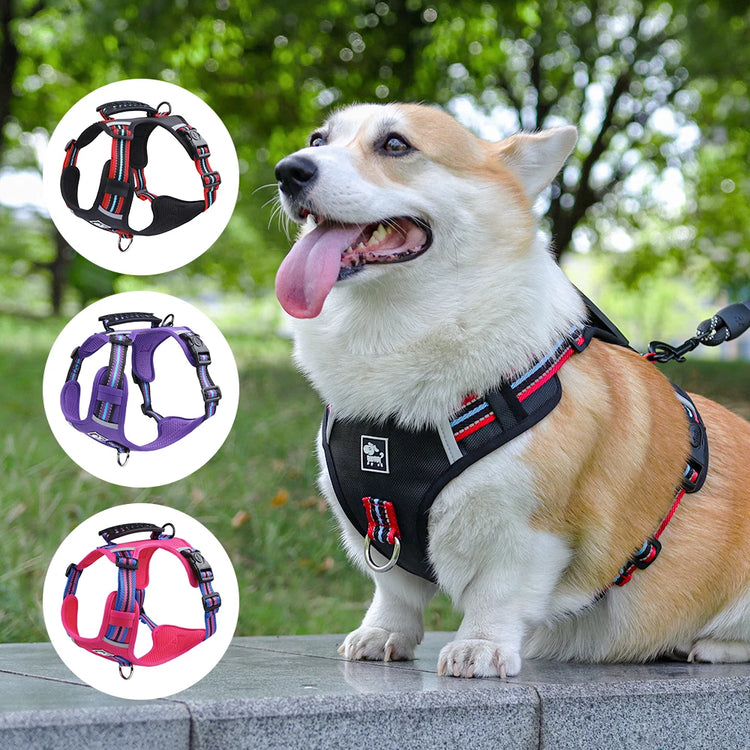 Durable Nylon Dog Harness with Handle – Travel-Friendly, Lightweight & Explosion-Proof Vest for All Dog Sizes