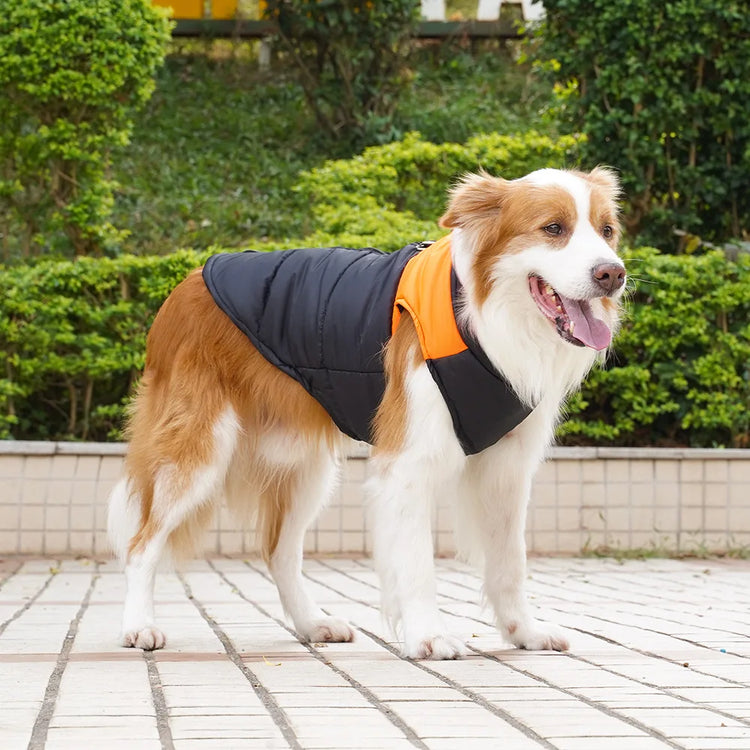 Pet Puppy Clothes Cat Clothing Autumn/Winter Warm Cotton Jacket Outdoor Waterproof Tank Top Small/Medium/Large Dog Costume