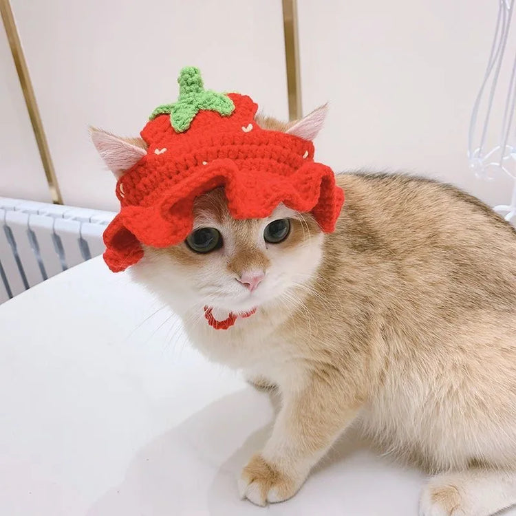 Pet Headgear | Cat and Dog Knitted Hat | Cosplay Props | Pet Headwear | Funny Pet Transformation Clothing