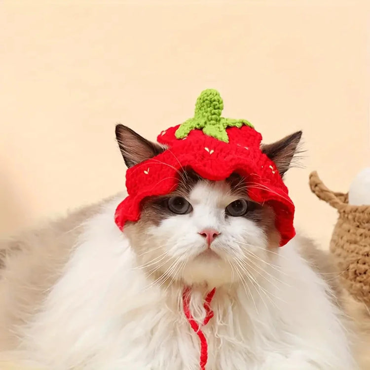 Pet Headgear | Cat and Dog Knitted Hat | Cosplay Props | Pet Headwear | Funny Pet Transformation Clothing